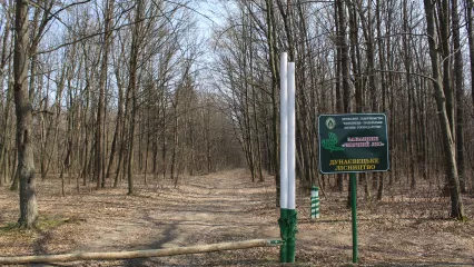 Від Чорного Лісу до каньйону Ушиці: природа Дунаєвеччини