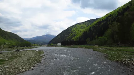 Джерело мінеральної води № 1 (Колочава)