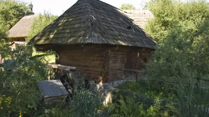 ЗаКарпатські насолоди + фестиваль ріплянки у Колочаві