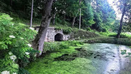 Михайлівський парк, Михайлівка, XIX століття