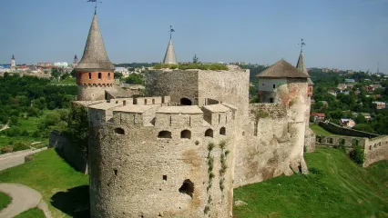 Image 5